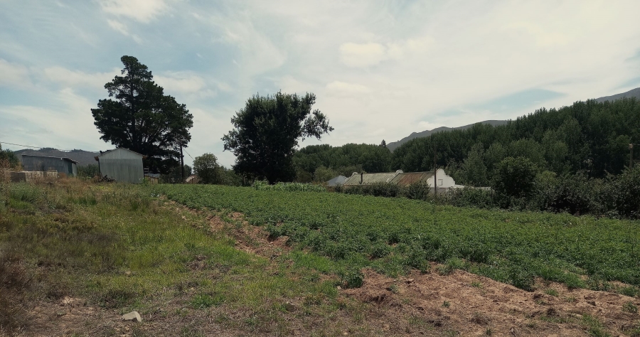 Commercial Property for Sale in Haarlem Western Cape